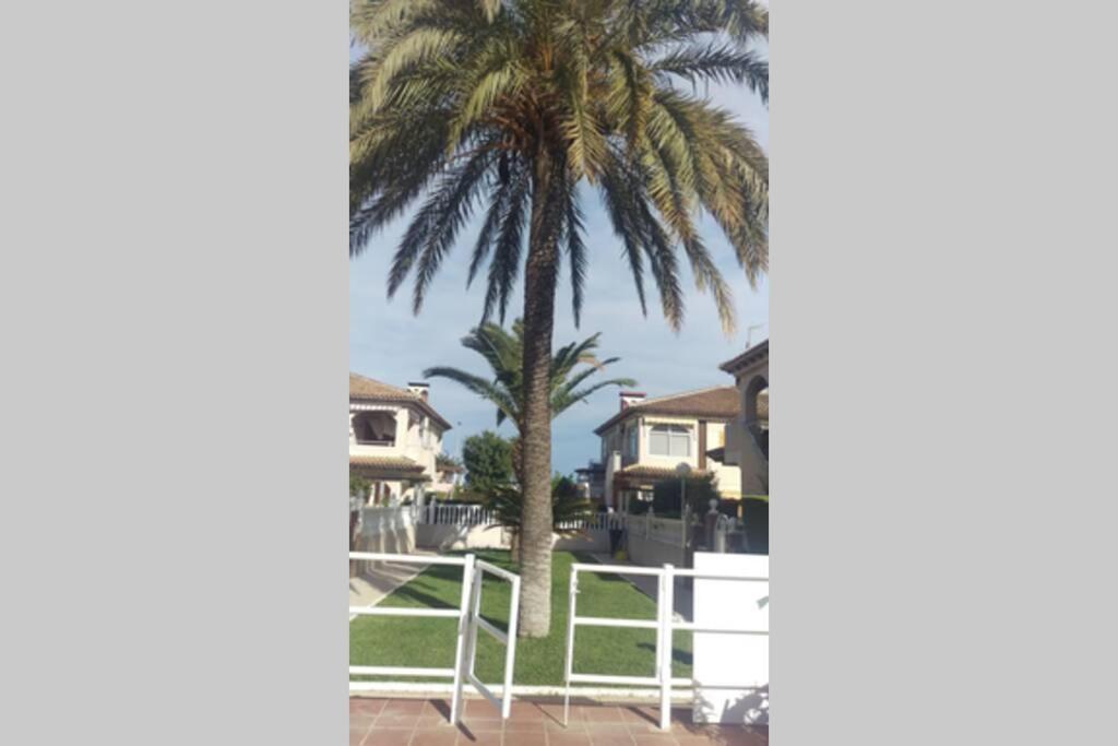 La Casa De La Palmera Apartment ตอร์เรเวียคา ภายนอก รูปภาพ